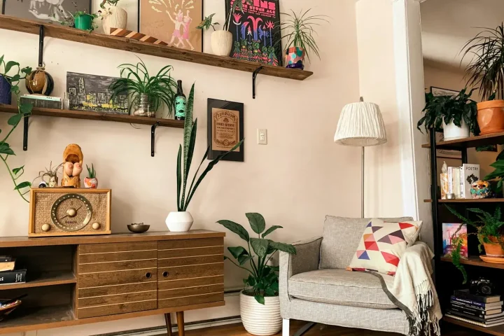 Living room with shelves, plants and an armchair
